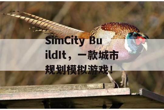 SimCity BuildIt，一款城市规划模拟游戏！